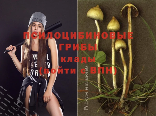 каннабис Алзамай